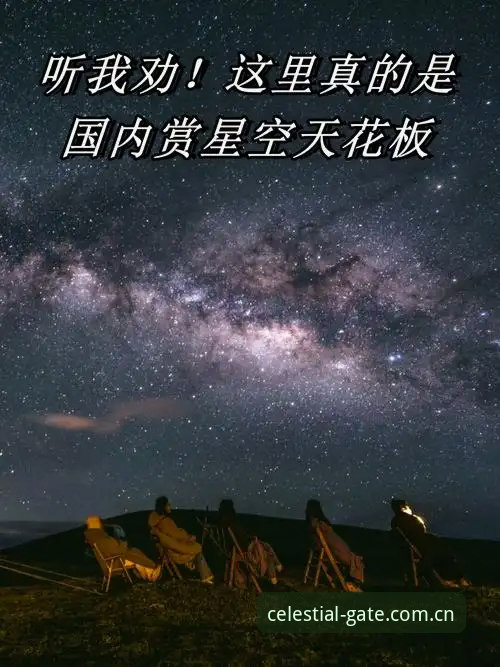 本地直达界2026版本 星空娱乐平台vs本地直达界2026版本:哪个才是你需要的“下一站”?